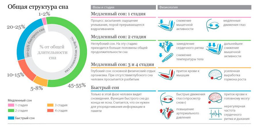 Схема фаз сна с выделением нарушений на разных стадиях.