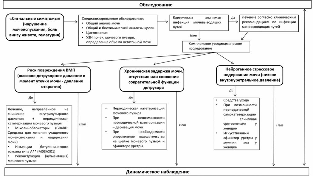 Алгоритм диагностики нейрогенных нарушений: от анамнеза к УДИ и МРТ